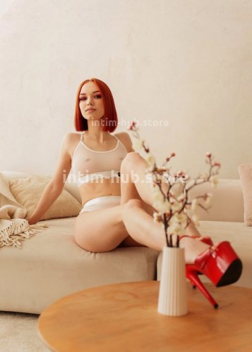 Лиса, Г. Рефтинский